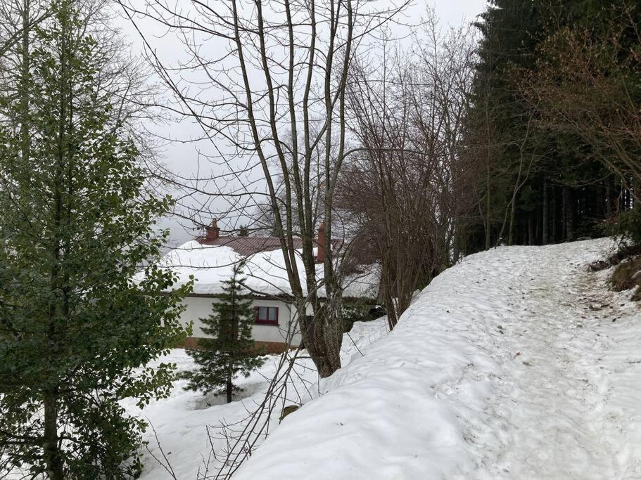 Maison D'Altitude Avec Vue Panoramique A Gérardmer Exterior foto